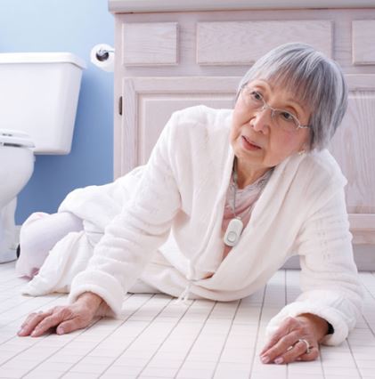 NEW! Fall Prevention II